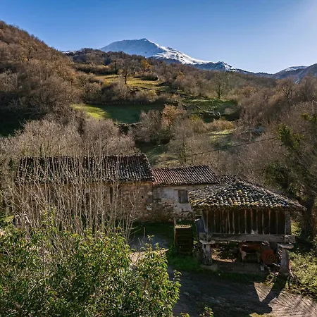 La Matuca Bucida